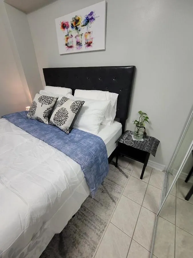 Roryhouse Daire Toronto 0*,