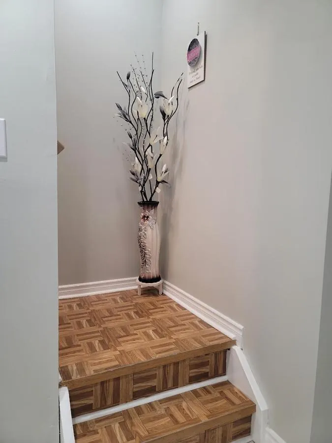 Roryhouse Daire Toronto 0*,